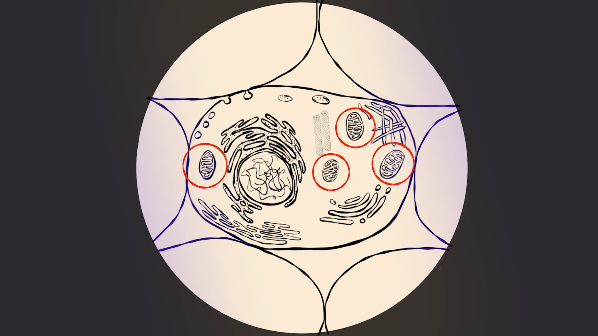 The Great Cellular Merger